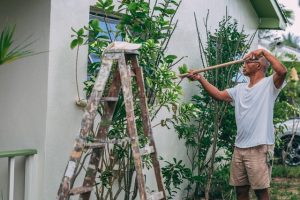 rusztowania fasadowe a malowanie